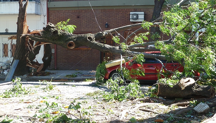 On ne peut réclamer de dommages et intérêts à son voisin après une tempête