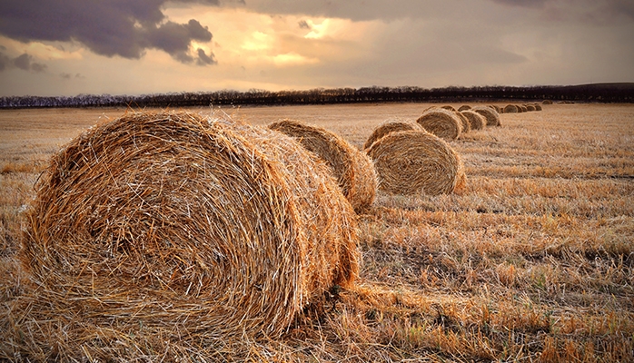 Comment renforcer la protection du monde agricole face aux catastrophes naturelles